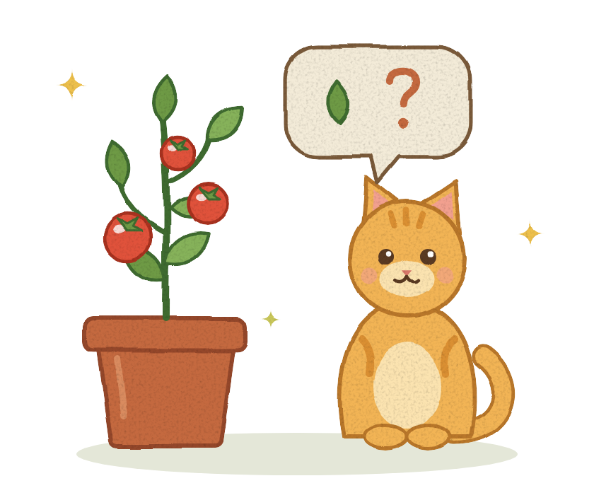 An orange cat looking up at a tomato plant